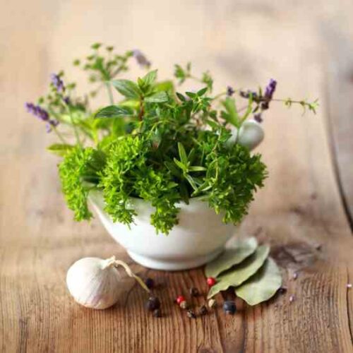 Herbal Apothecary 101